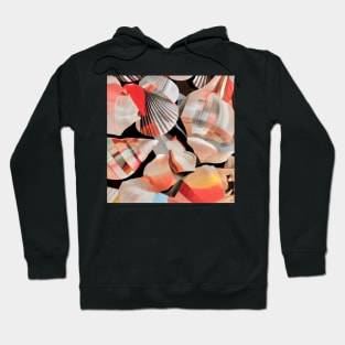 Seashell Medley Hoodie